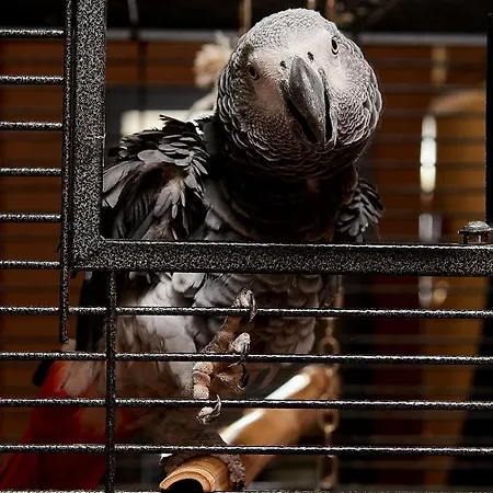 Sunny Forum 4* Sunny Beach