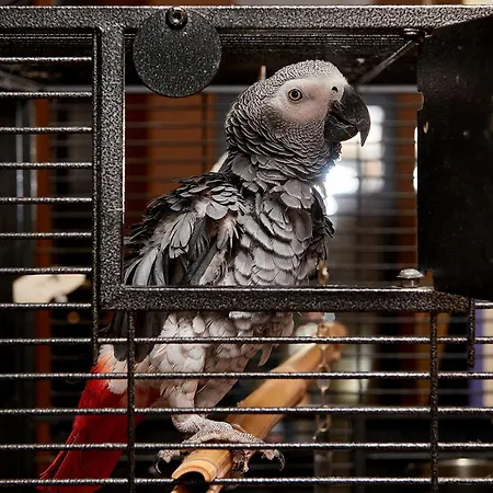 Sunny Forum Sunny Beach