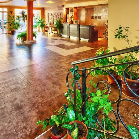 Sunny Forum Sunny Beach