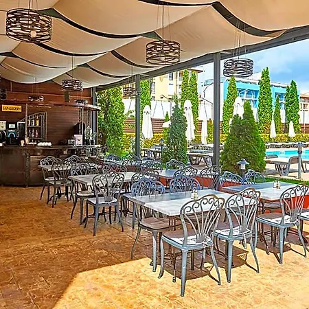 Sunny Forum