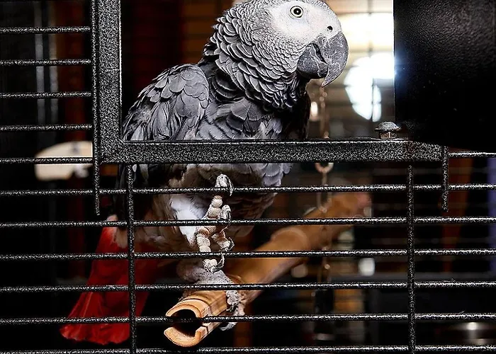 Отель Sunny Forum