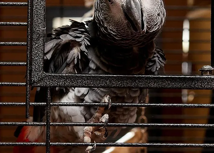 Sunny Forum 4* Слънчев бряг