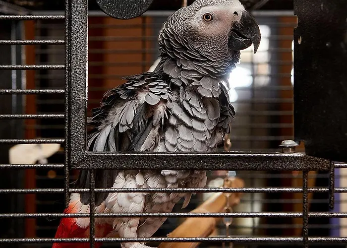 Sunny Forum Слънчев бряг